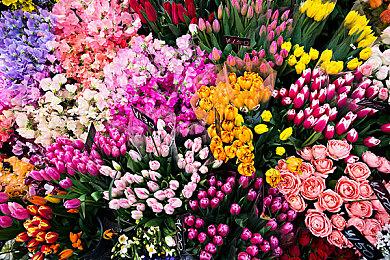 《JOJO群星之战R》平行世界迪亚哥6月16日上线 季票2发布